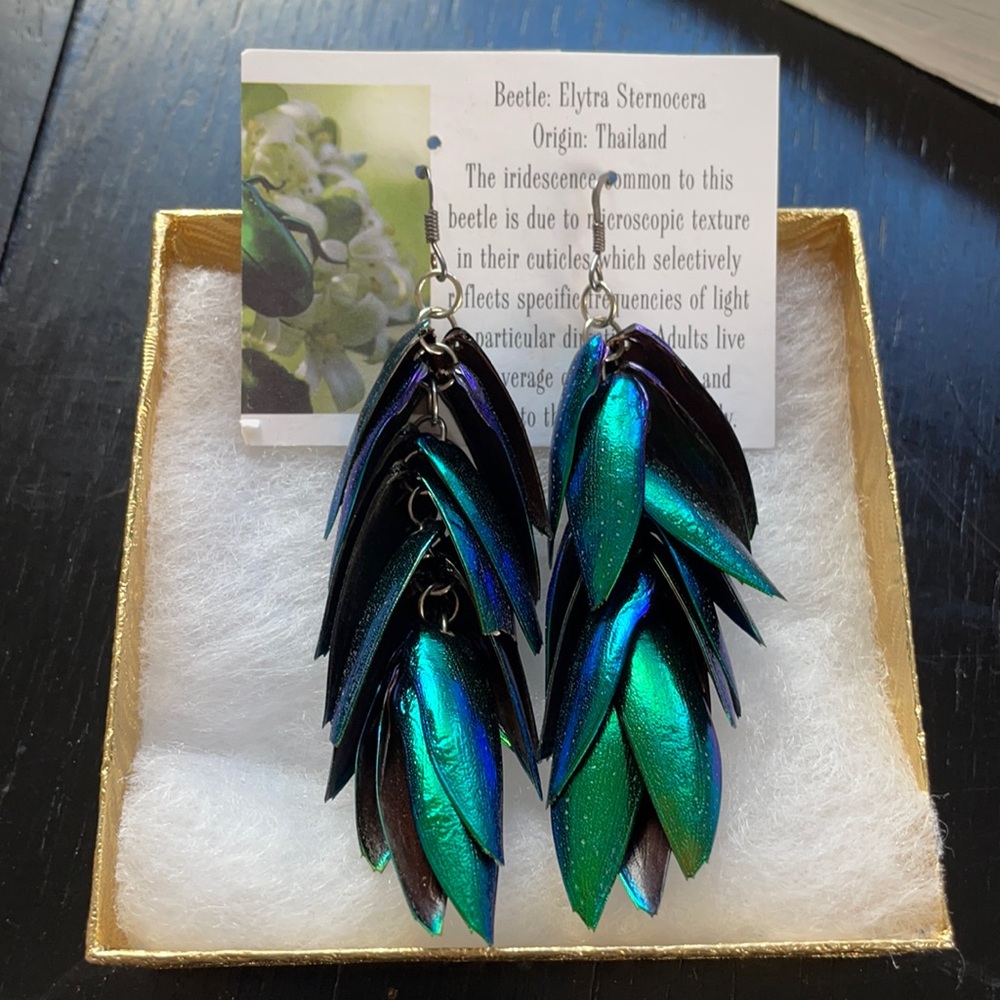 Beetle wing earrings